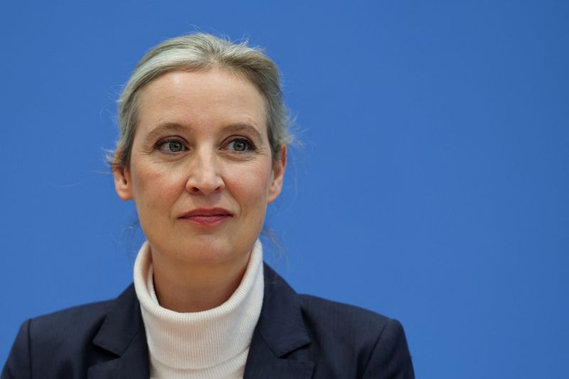 Image for Germany's Merz will push up debt with help of left, says AfD leader