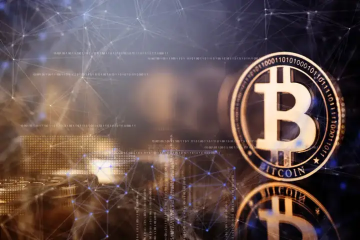 Image for The Bitcoin Metric: What Bitcoin’s Price Might Mean for Today’s Investors