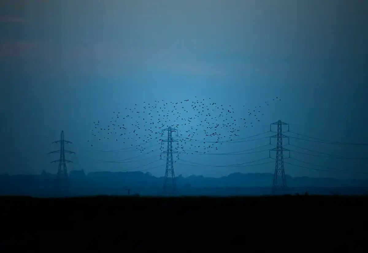 Image for UK energy regulator proposes new rules to cut backlog of projects awaiting grid link-up