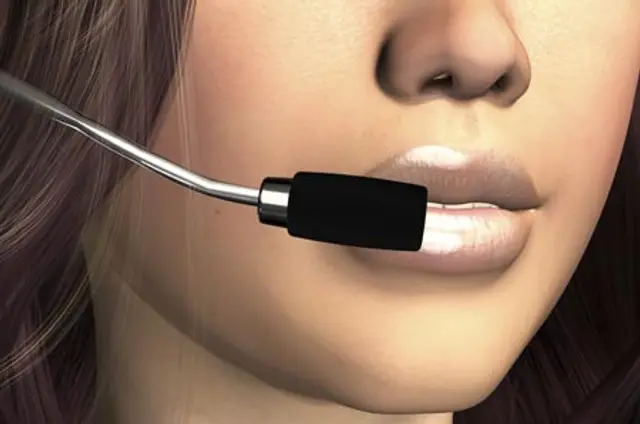Image for SPEAKING CLEARLY: THE CASE FOR VOICE BIOMETRICS