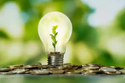 Image for The financial case for energy efficiency: knowledge is profit