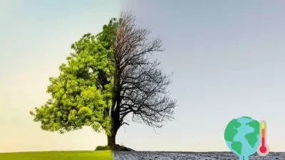 Image for How Climate Risk could proliferate other Secondary risk types