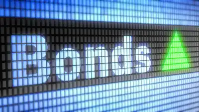 Image for An Introduction to Corporate Bonds for Individual Investors: Unveiling Opportunities and Risks