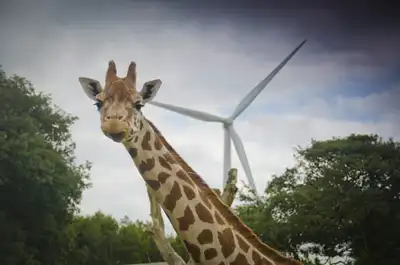 Triodos Renewables