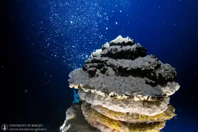 Image for Norway stops deep-sea mining, for now
