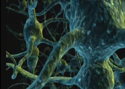 Neuronal Network