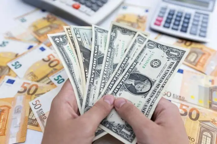 Image for Euro rises with focus on ECB, dollar retreats