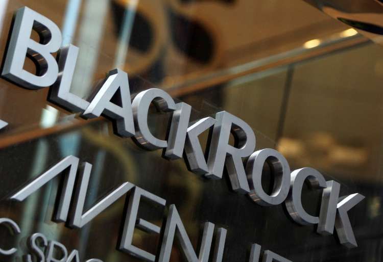 Image for BlackRock ups focus on &#8216;natural capital&#8217; ahead of AGM season