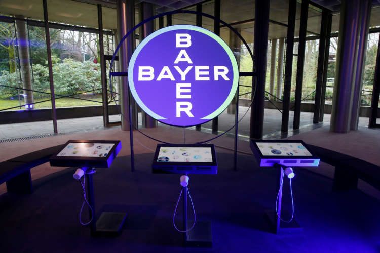Image for Bayer&#8217;s agriculture business buoyed by higher produce prices in Q1