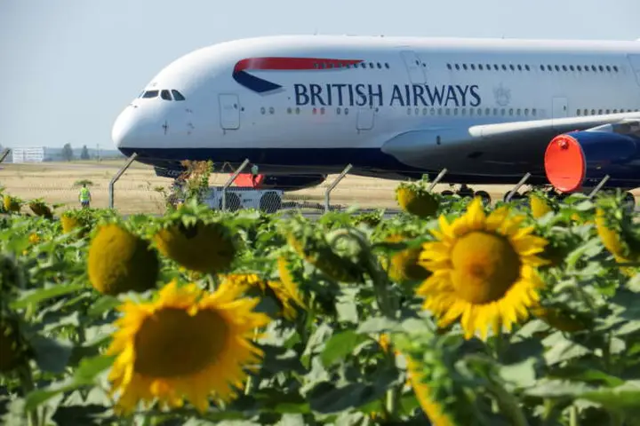 Image for World&#8217;s beautiful, Airbus says as air industry sets out green goals