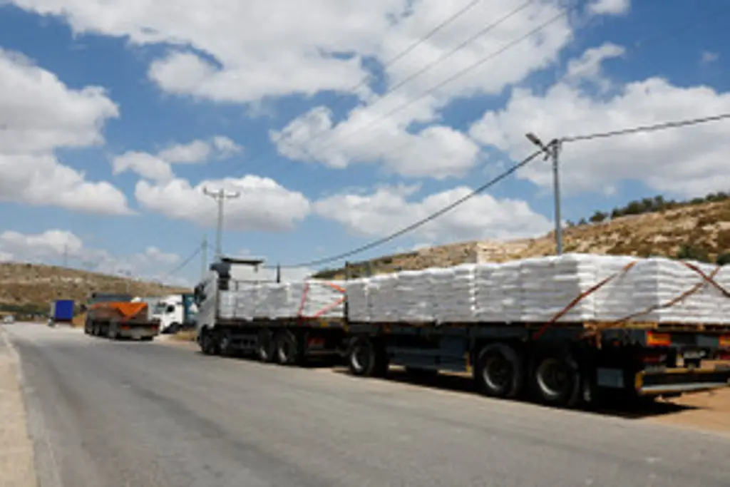 Image for Flow of aid to Gaza could take time, warns International Rescue chief