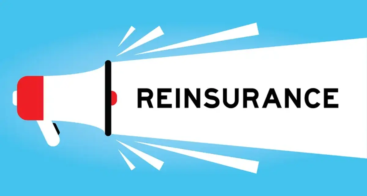 Image for Navigating the Future: Reinsurance and Risk Transfer Strategies for 2025