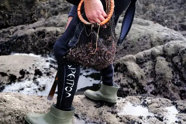 Image for The barnacle, Spaniards’ favourite Christmas dish, imperilled by climate change