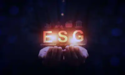 Image for Is ESG investing becoming the new norm? An insight into ESG investing and what this means for the future of business