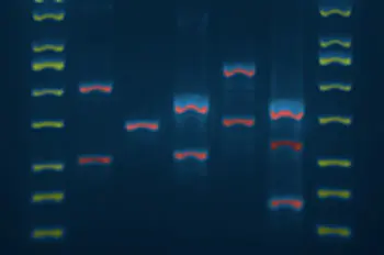 DNA Digest