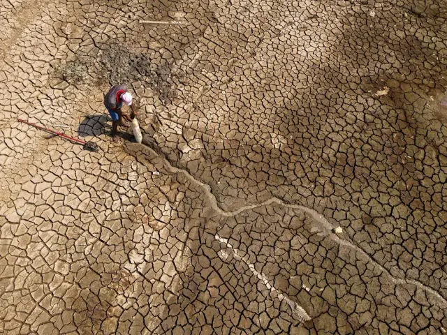 Image for Current climate pledges still fall way short on Paris goals, UN body says