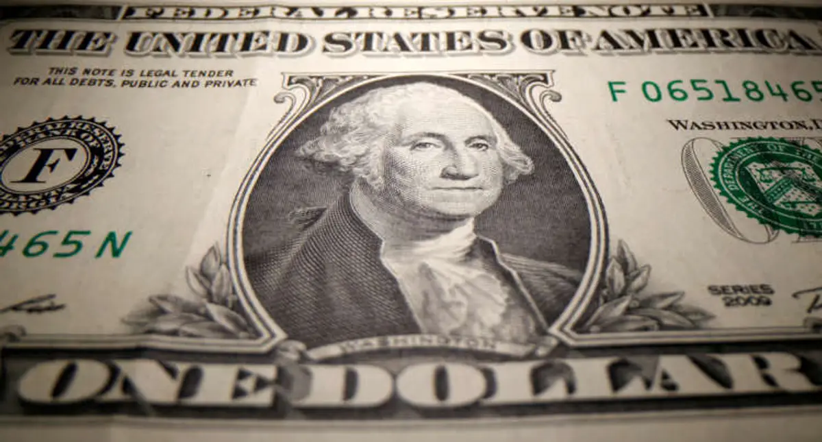 Image for Dollar falters as stocks rally, risk currencies gain