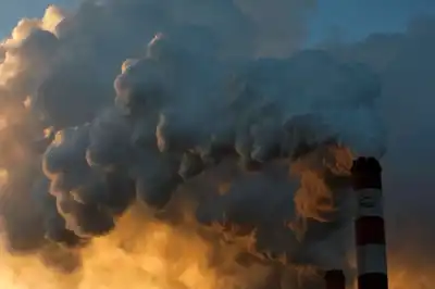 Image for Dutch pension fund PFZW to end investment in some fossil fuel companies