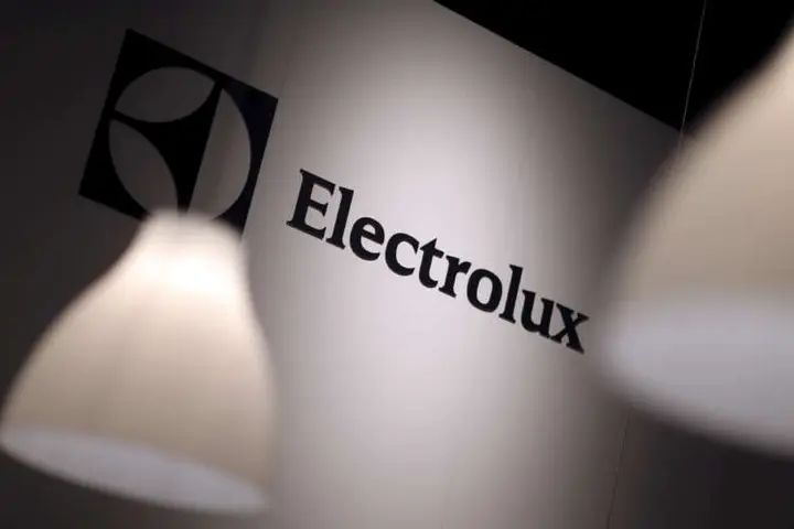 Image for Electrolux profit beats, pandemic demand surge seen slowing
