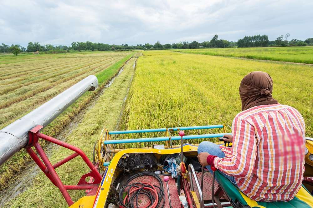 Optimizing the benefits of agriculture to transform Nigeria